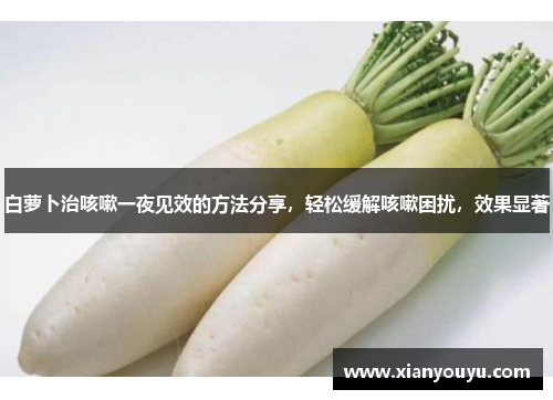 白萝卜治咳嗽一夜见效的方法分享，轻松缓解咳嗽困扰，效果显著