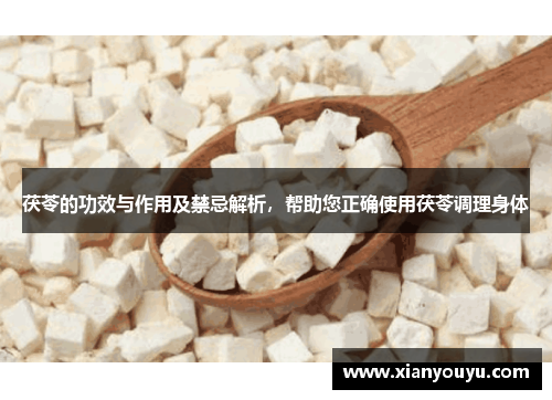 茯苓的功效与作用及禁忌解析，帮助您正确使用茯苓调理身体