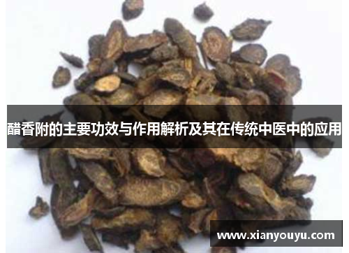 醋香附的主要功效与作用解析及其在传统中医中的应用