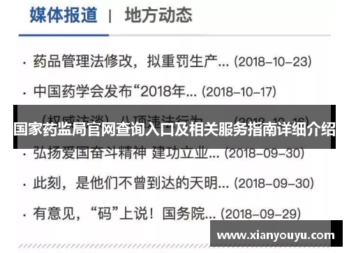 国家药监局官网查询入口及相关服务指南详细介绍
