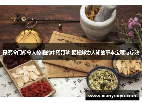 探索冷门却令人惊艳的中药奇珍 揭秘鲜为人知的草本宝藏与疗效