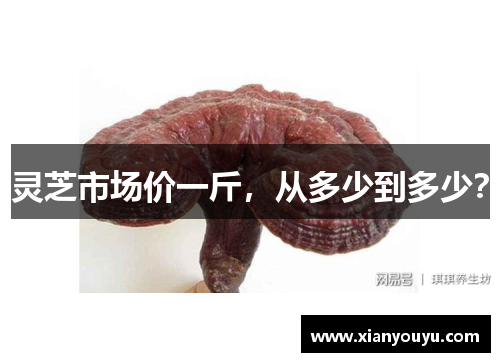 灵芝市场价一斤，从多少到多少？
