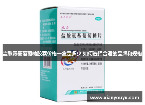 盐酸氨基葡萄糖胶囊价格一盒是多少 如何选择合适的品牌和规格