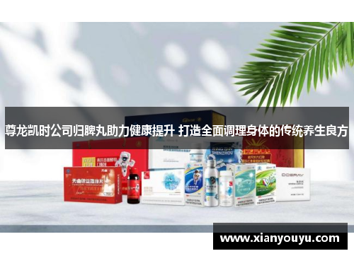 尊龙凯时公司归脾丸助力健康提升 打造全面调理身体的传统养生良方